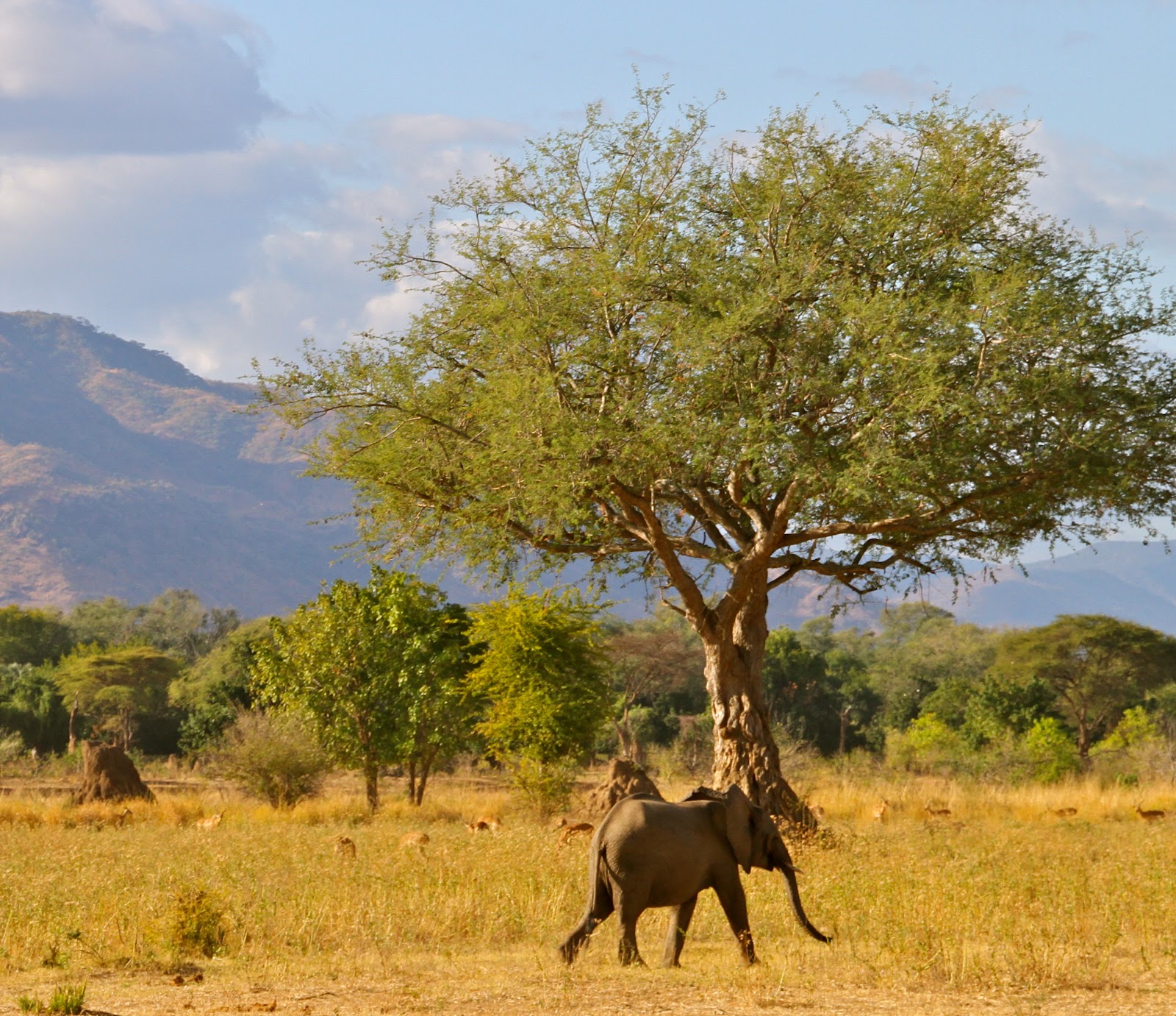 A Breath of Fresh Air Zimbabwe Land and Skyscapes................