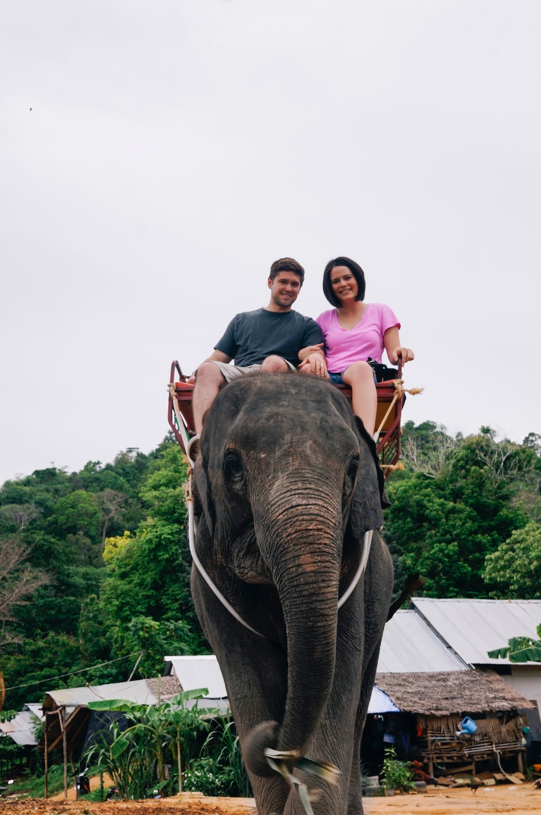 PHI PHI ISLANDS & RIDING ELEPHANTS Lady Lund Day to Day