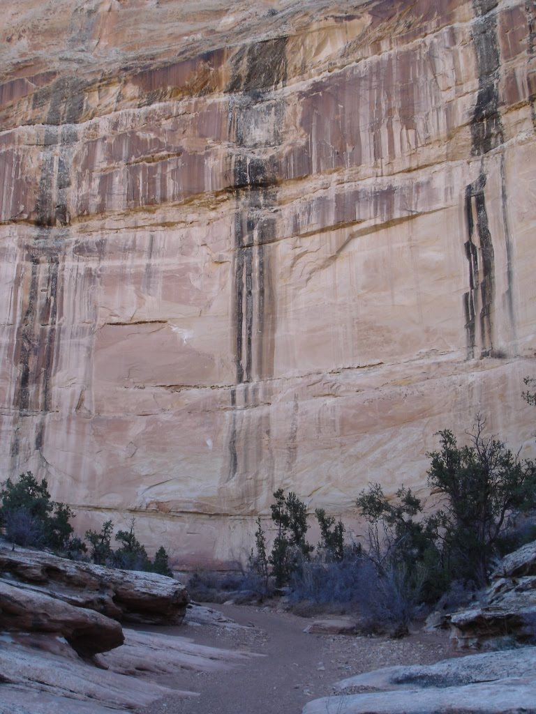 WILD HORSE CANYON