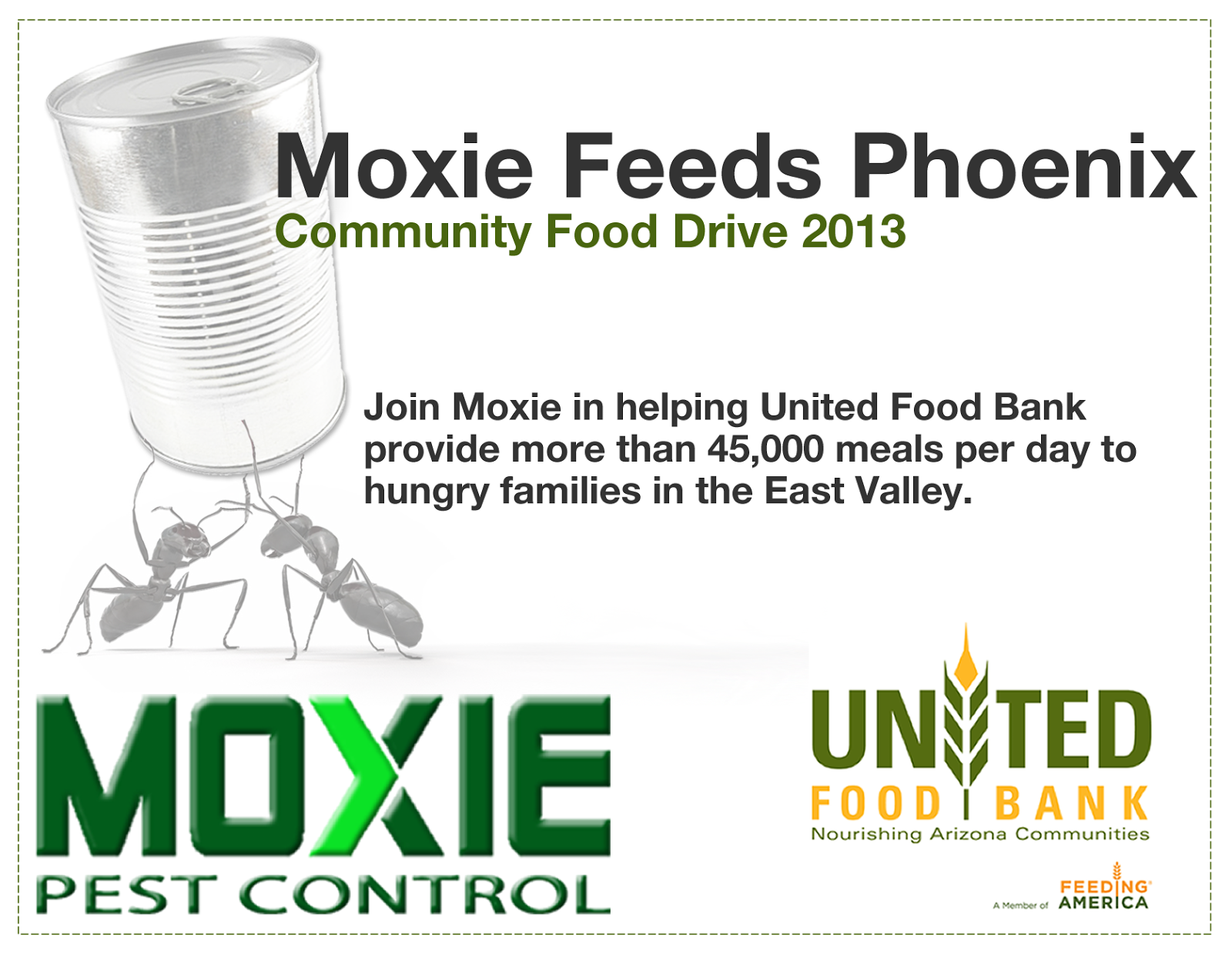Moxie Pest Control of Arizona Moxie Feeds Phoenix