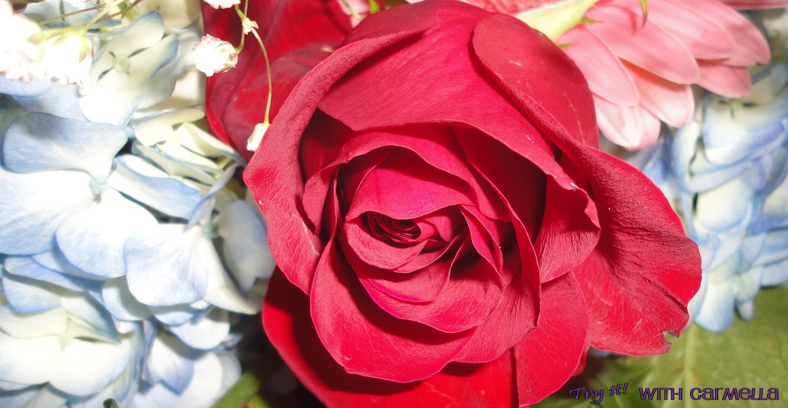 *Try It With Carmella* MultiFlower Bundle