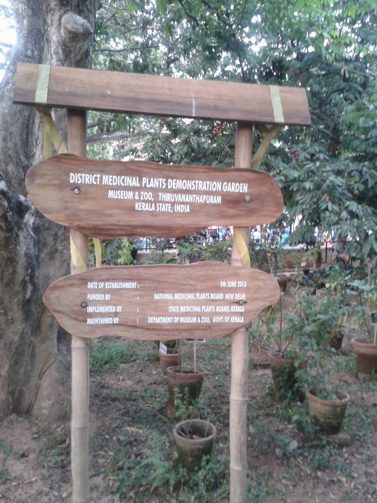 Kerala tourism attractions District medicinal