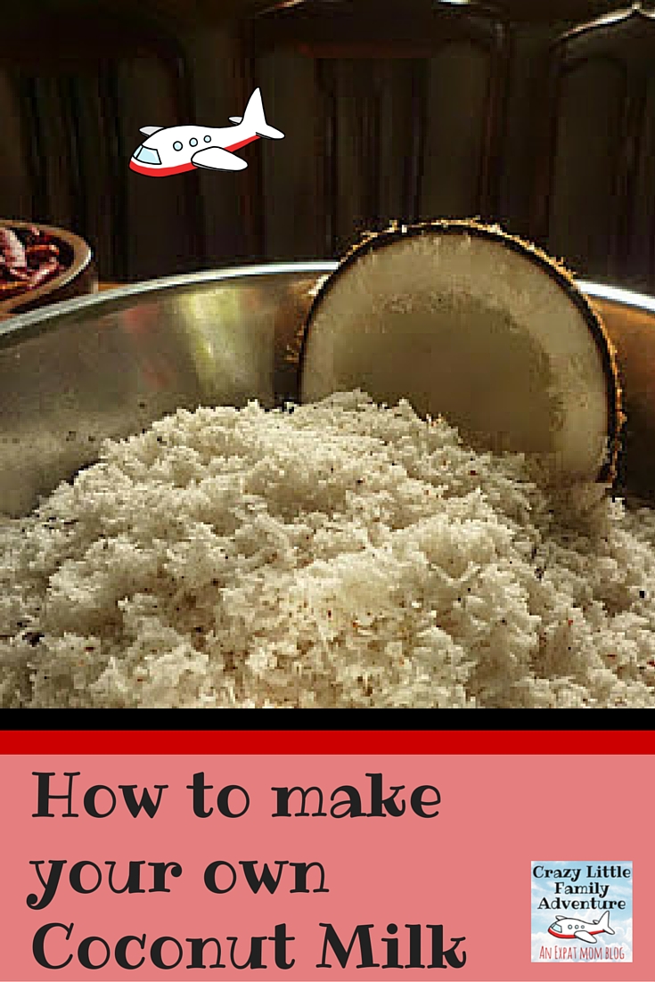 How to Make your own Coconut Milk Crazy Little Family Adventure