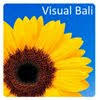 Visual Bali Photography & Video