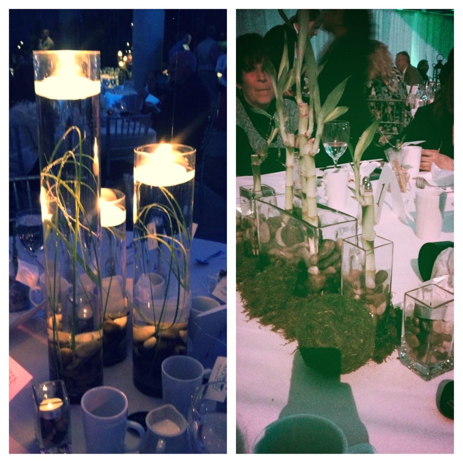 Zen Theme Event Event Kings