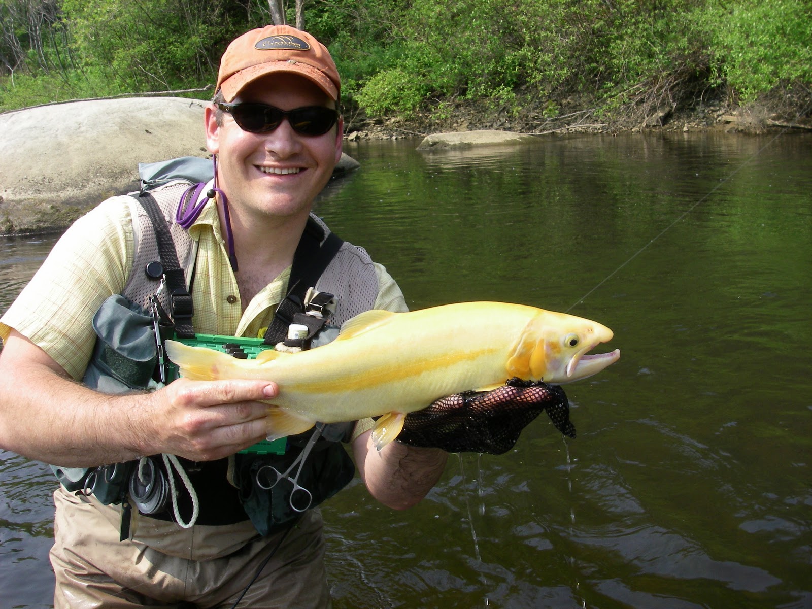 Western Reserve Chapter of Trout Unlimited Clarion River Update