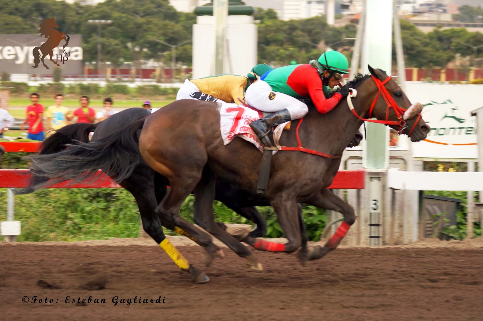 El Mirador Hípico Peruano SORPRESA Y MULTITUD Clásico Alfredo