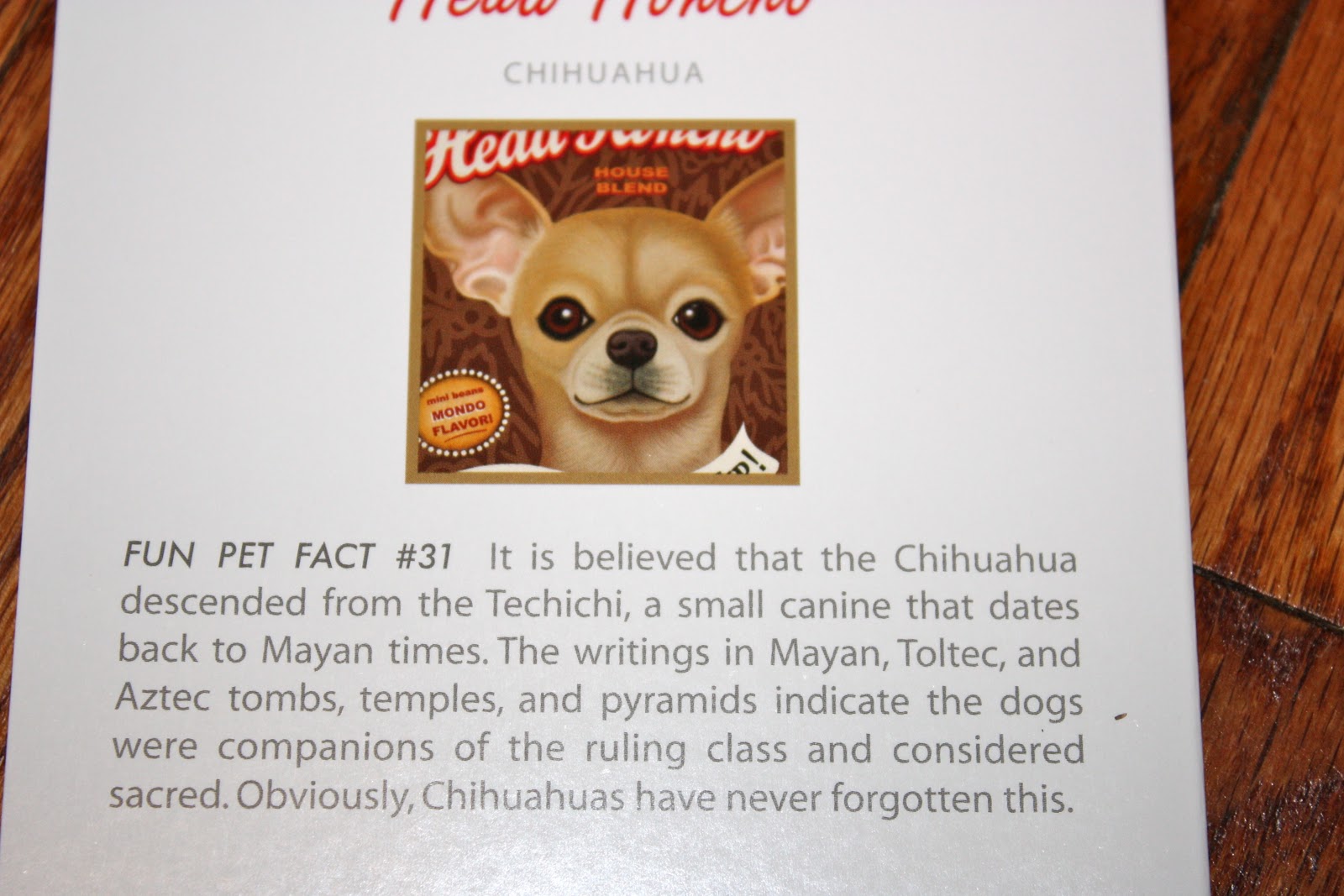 chihuahua cards