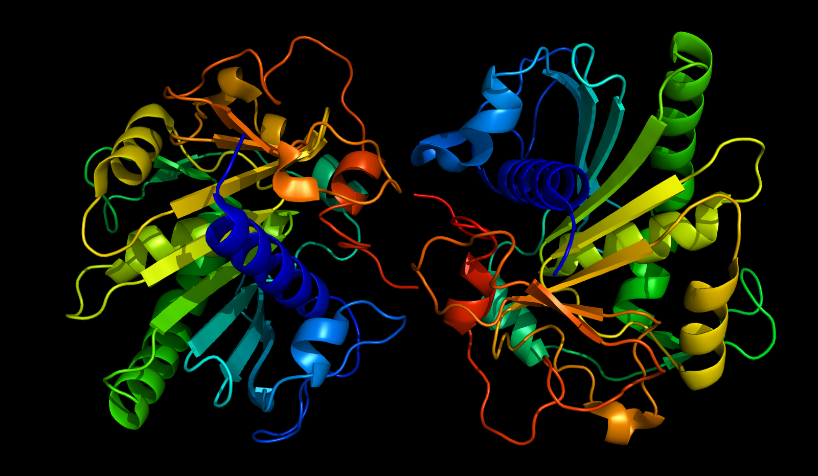 Proteins in Red Shirts Fungal lipase from Thermomyces(Humicola) lanuginosa