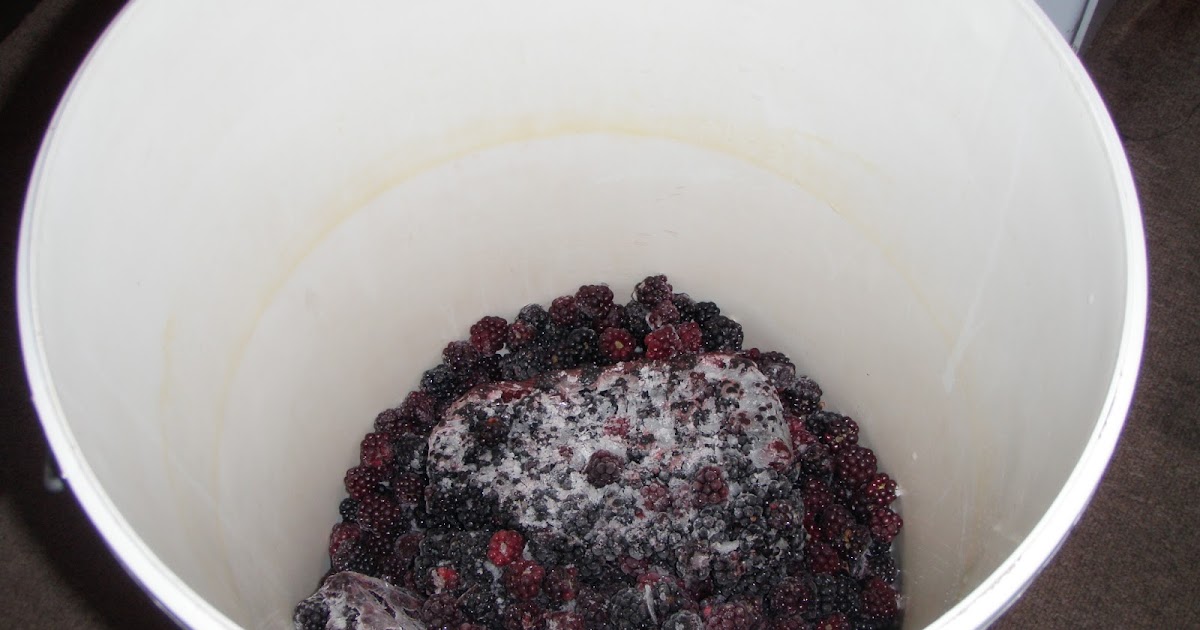 Brewing Wine at Home Recipe; Blackberry & Elderberry Wine