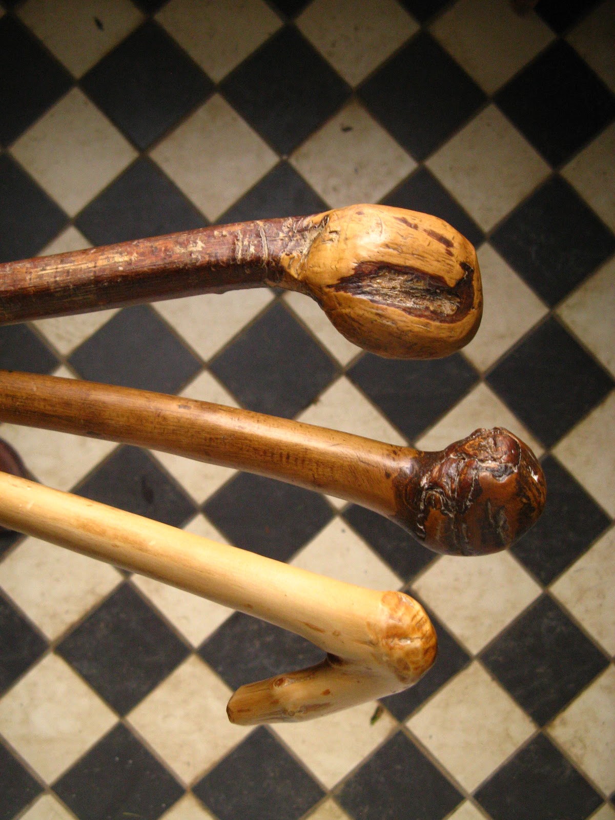 The Slow Adventure WALKING WITH STICKS