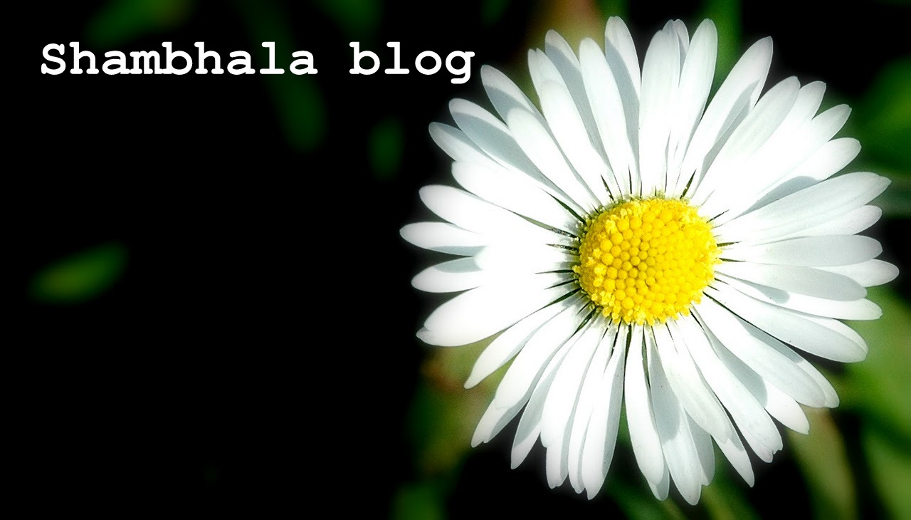 Shambhala Blog