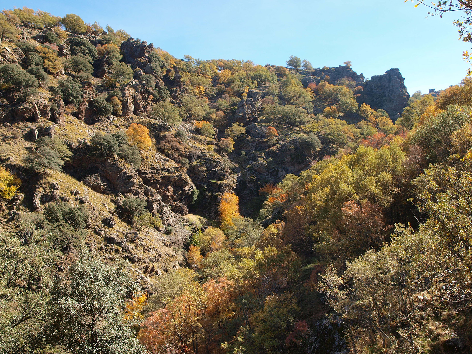Caminando por Sierras y Calles de Andalucía El Bosque encantado