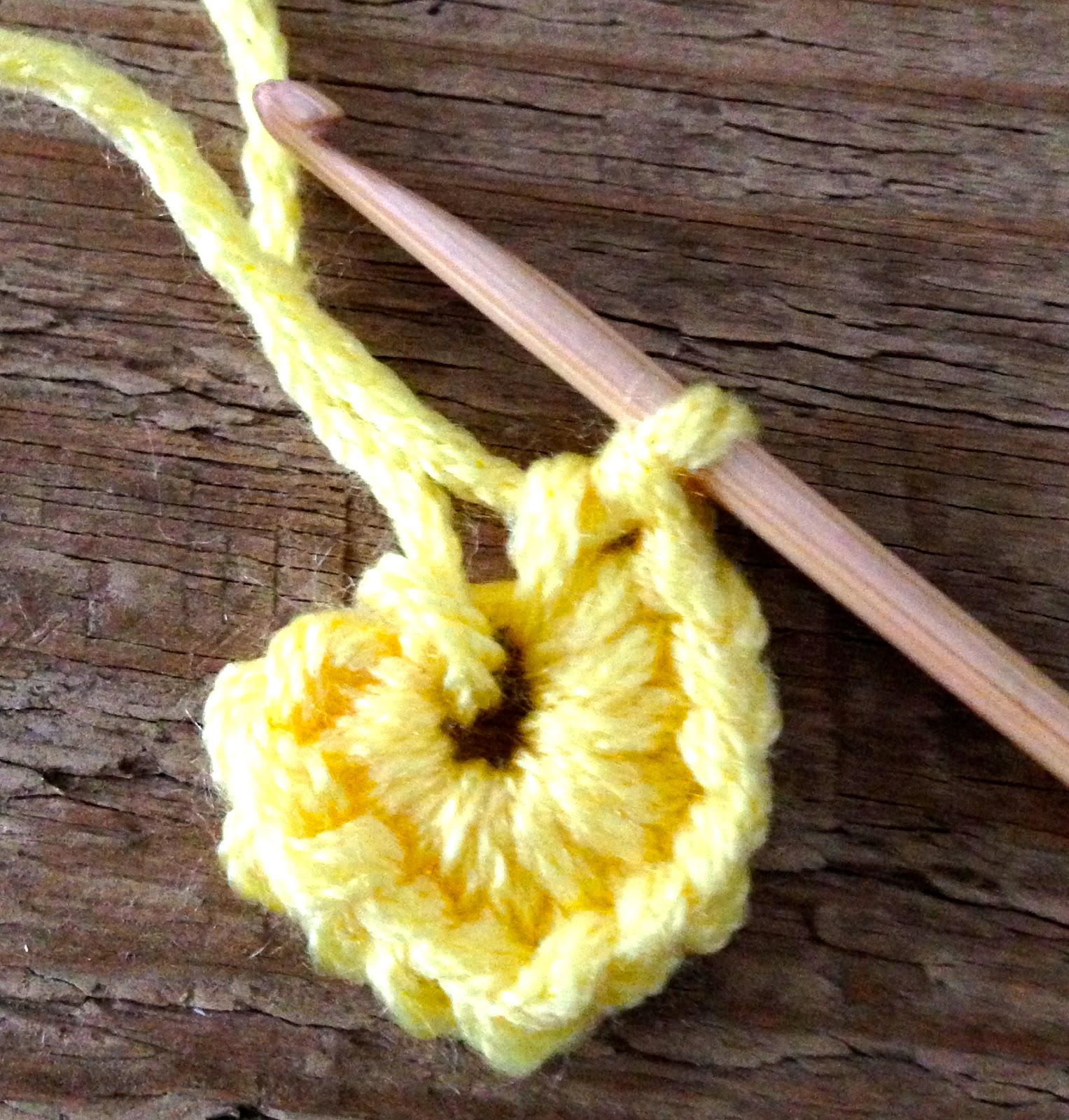 My Nice Garden Hibiscus Syriacus Purple Rose Of Sharon With