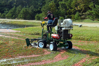 A farmer using a water tiller to knock the cranberries off the vine