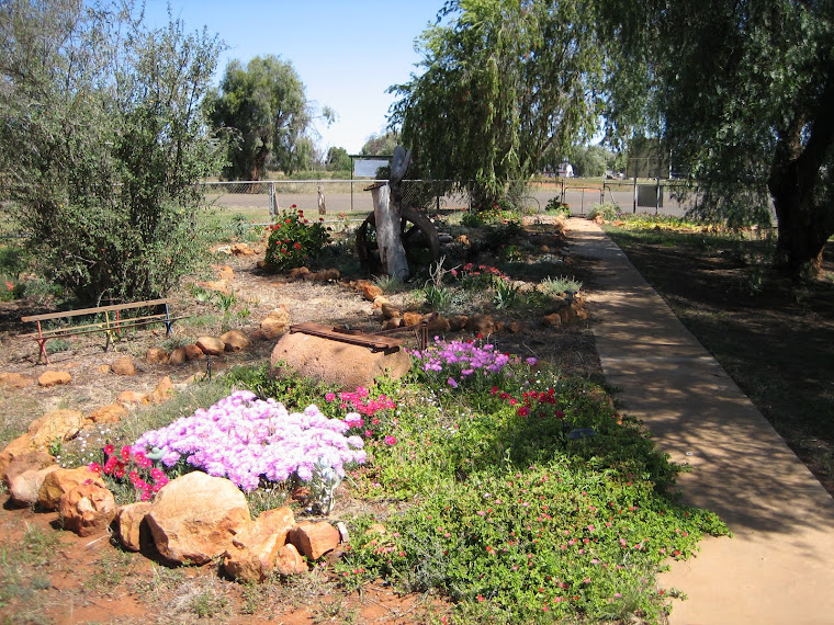 Lovely Lawns and Gardens