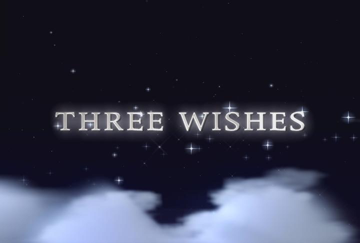 If i were granted four wishes essay picture