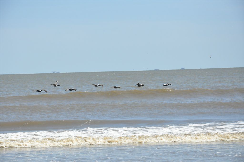 Grand Isle Louisiana's Barrier Island Getting Lost in Louisiana