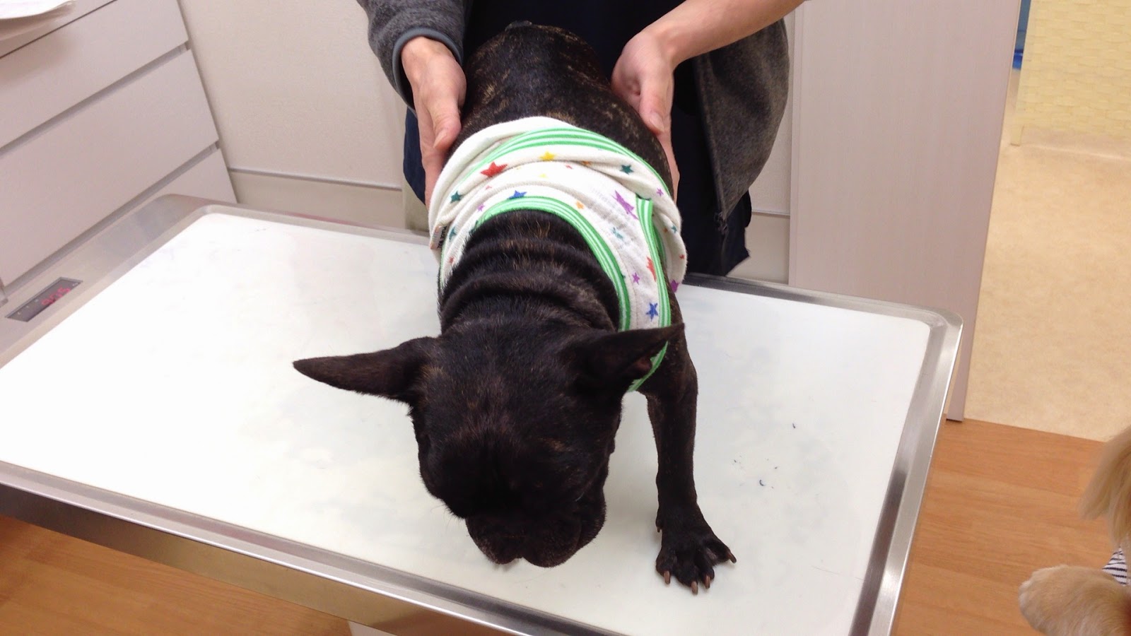 Punkとjazzと たまに北斗小力 3月 15