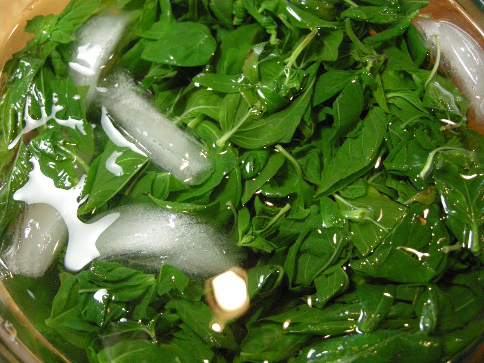 Kitchens Are Monkey Business Rosie Makes A Basil Espuma.