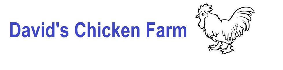 David's Chicken Farm