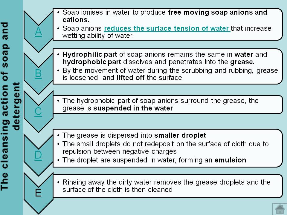 my chemistry Cleansing Action Of Soap and Detergent