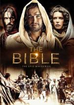 The Bible 2013