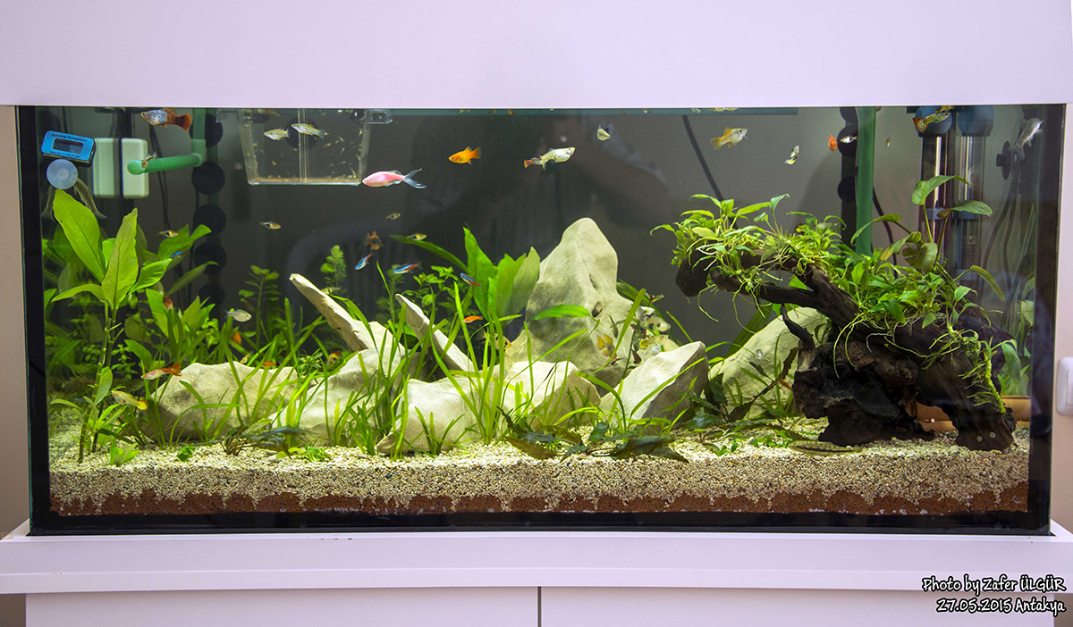 zafer ulgur ve bilgi dinamikleri