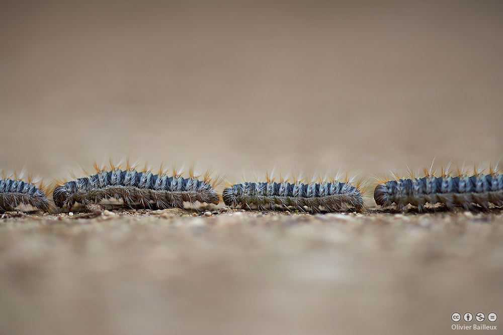 rencontre près de chez moi