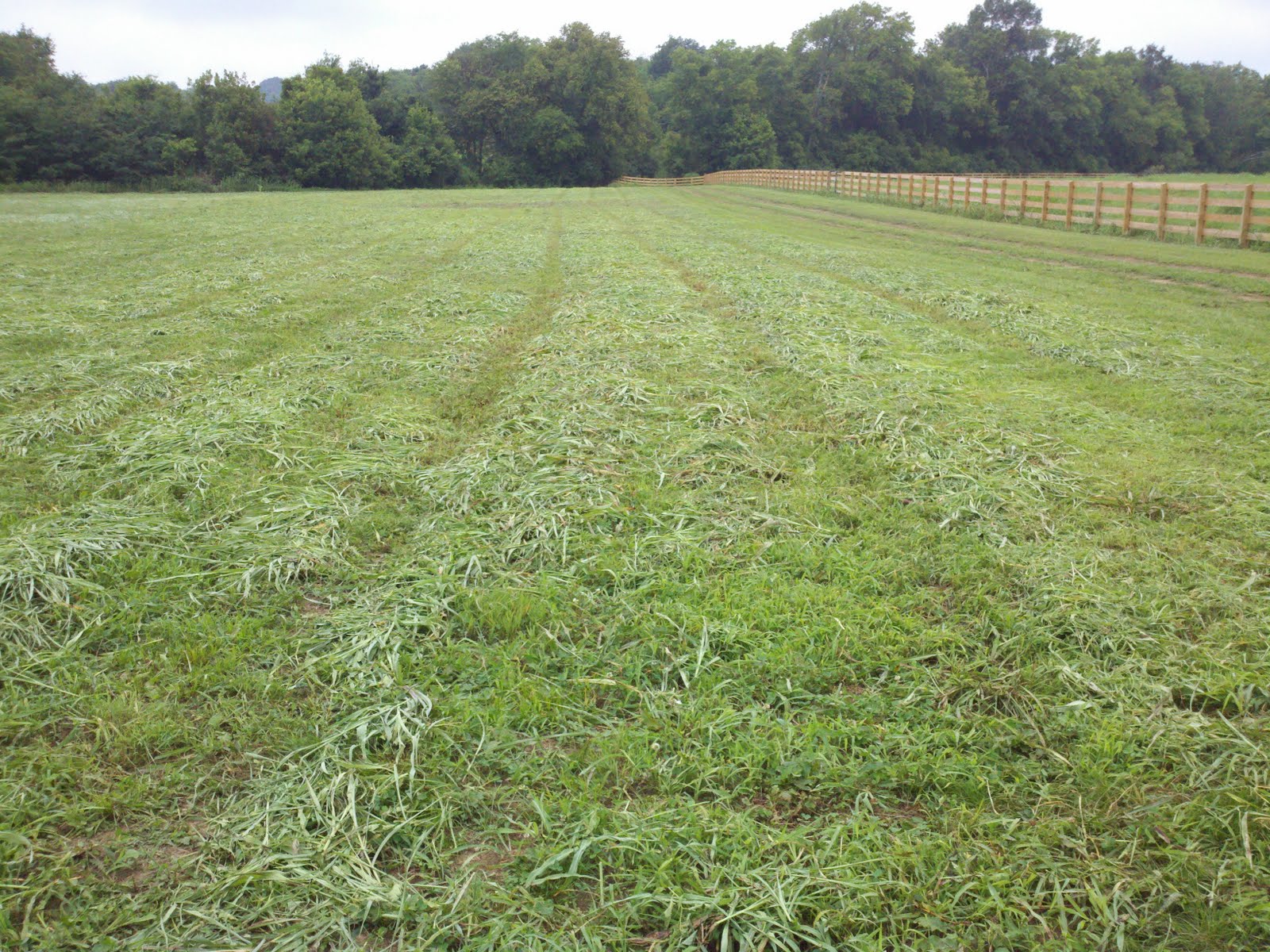 Random Musings of a Farmer Making Hay Explained
