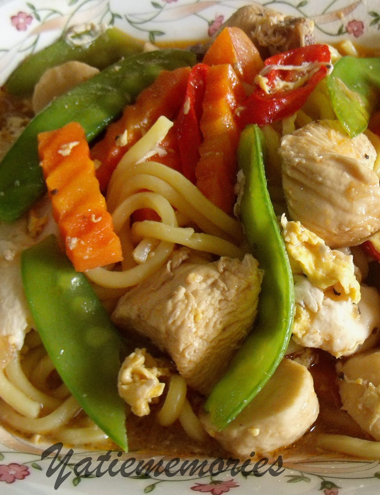 Sinar Kehidupanku Mee Ladna