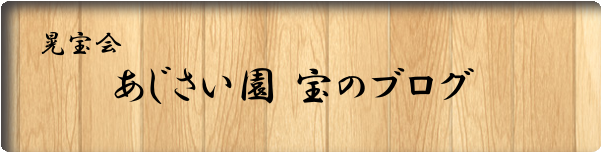 あじさい園・宝のブログ