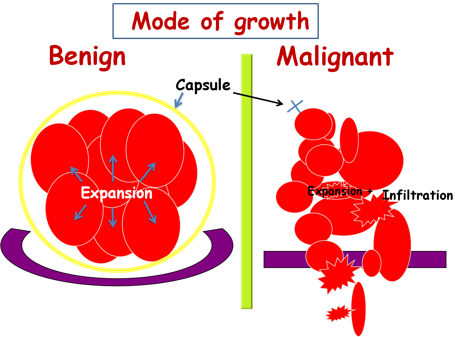 What are malignant tumors?