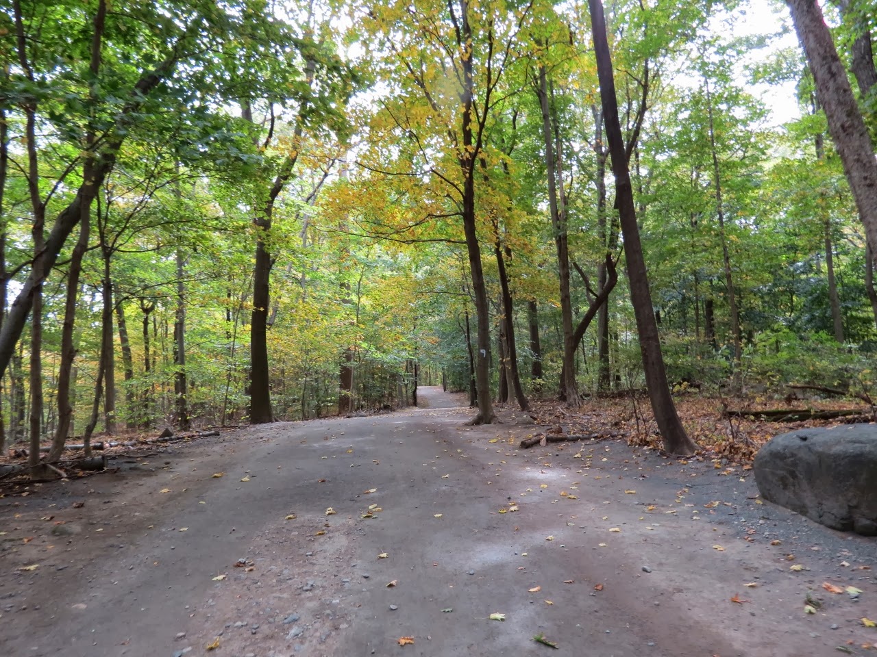Gone Hikin' Tallman Mountain State Park, NY