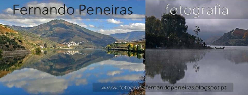 Fernando Peneiras - fotografia