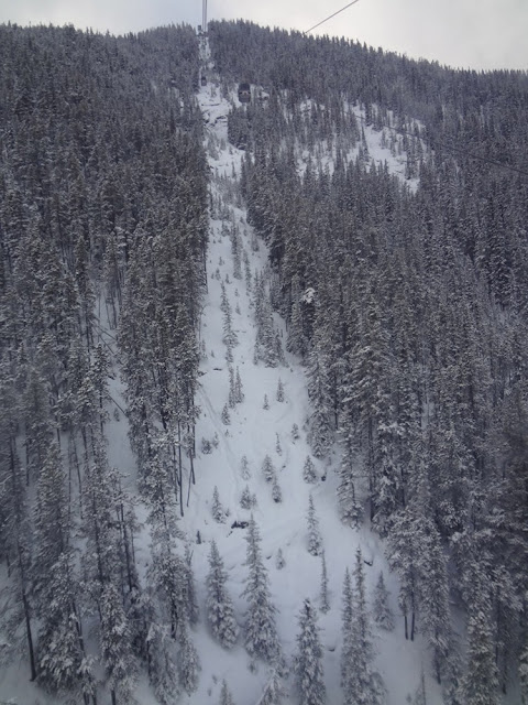 view from sulphur mountain gondola
