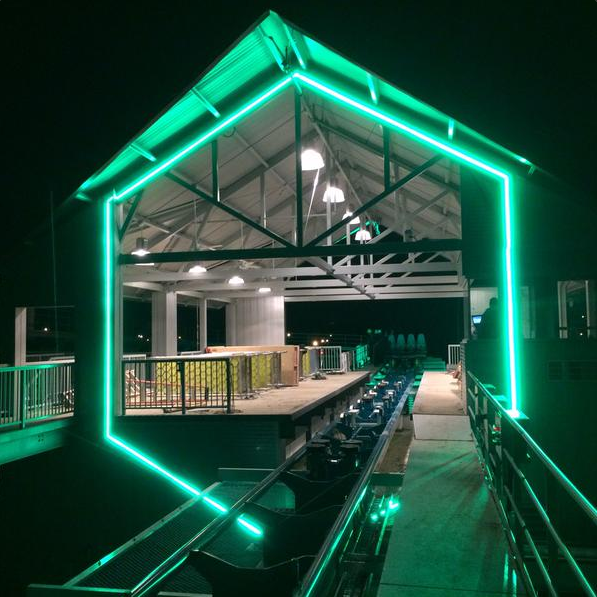 InSanity lurks Inside: FuryWatch: First Rider Auction, Construction