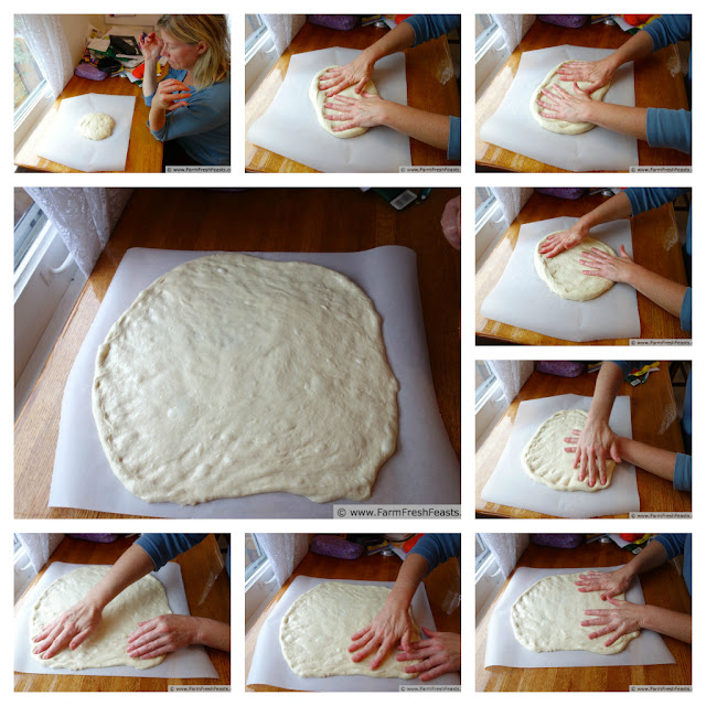 http://www.farmfreshfeasts.com/2012/11/a-pizza-primer.html