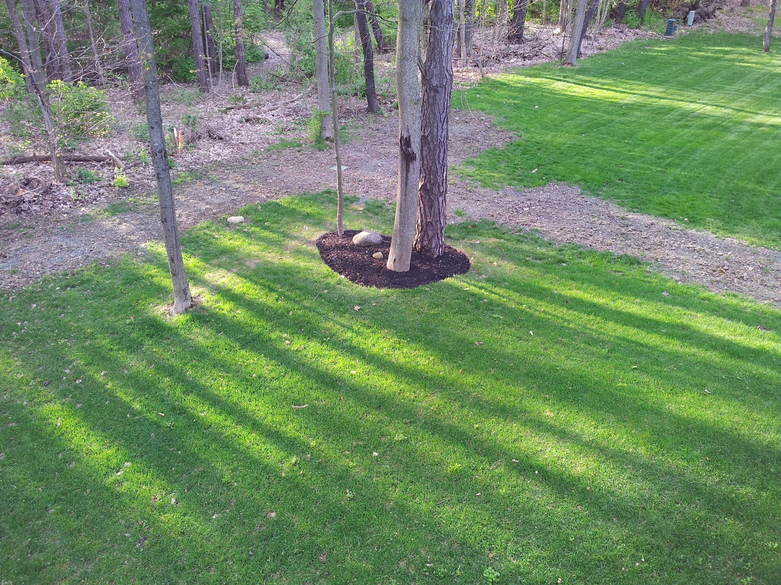 Chad's Mulch under the deck.