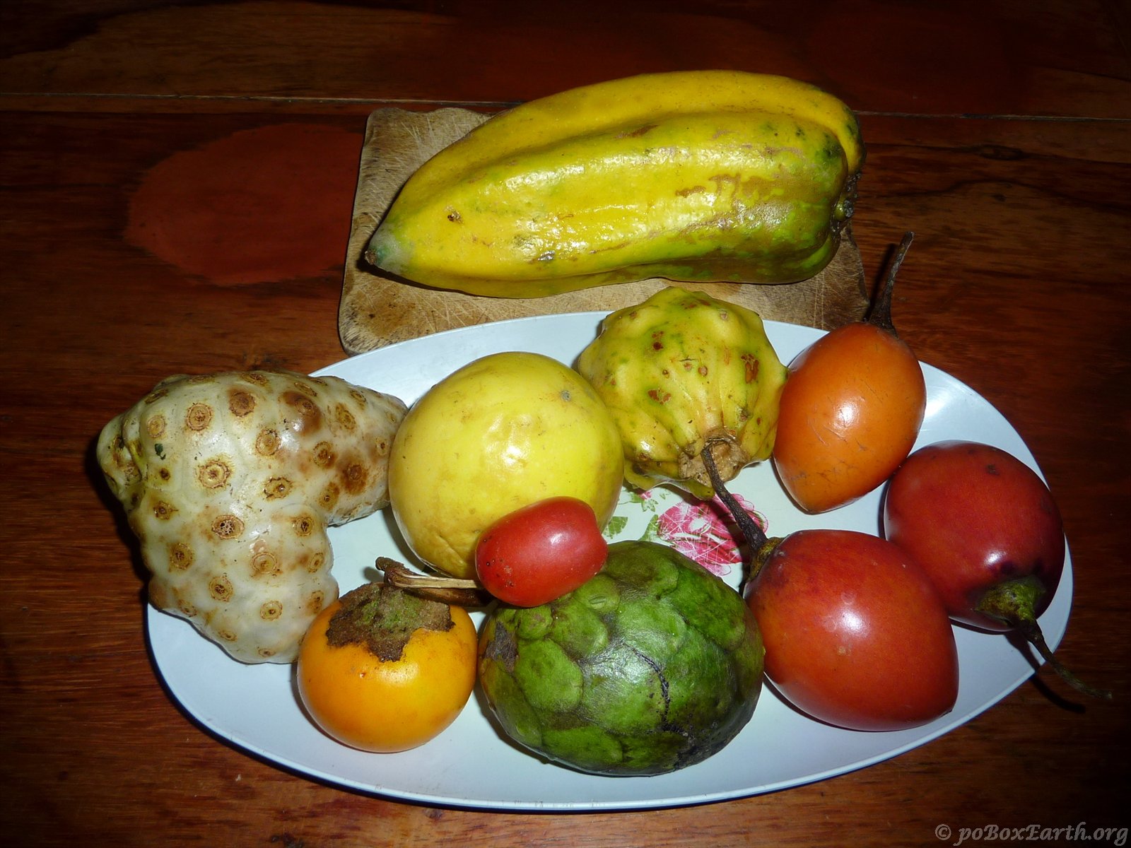 The Travelers Ecuador Exotic fruit tasting