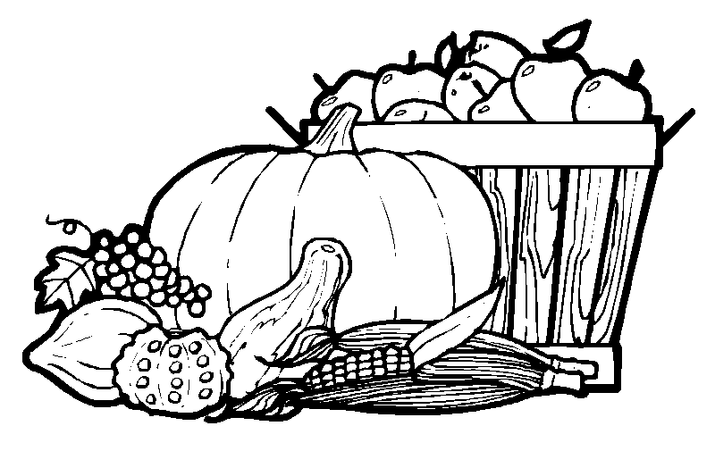 Thanksgiving Coloring Pages | Team colors