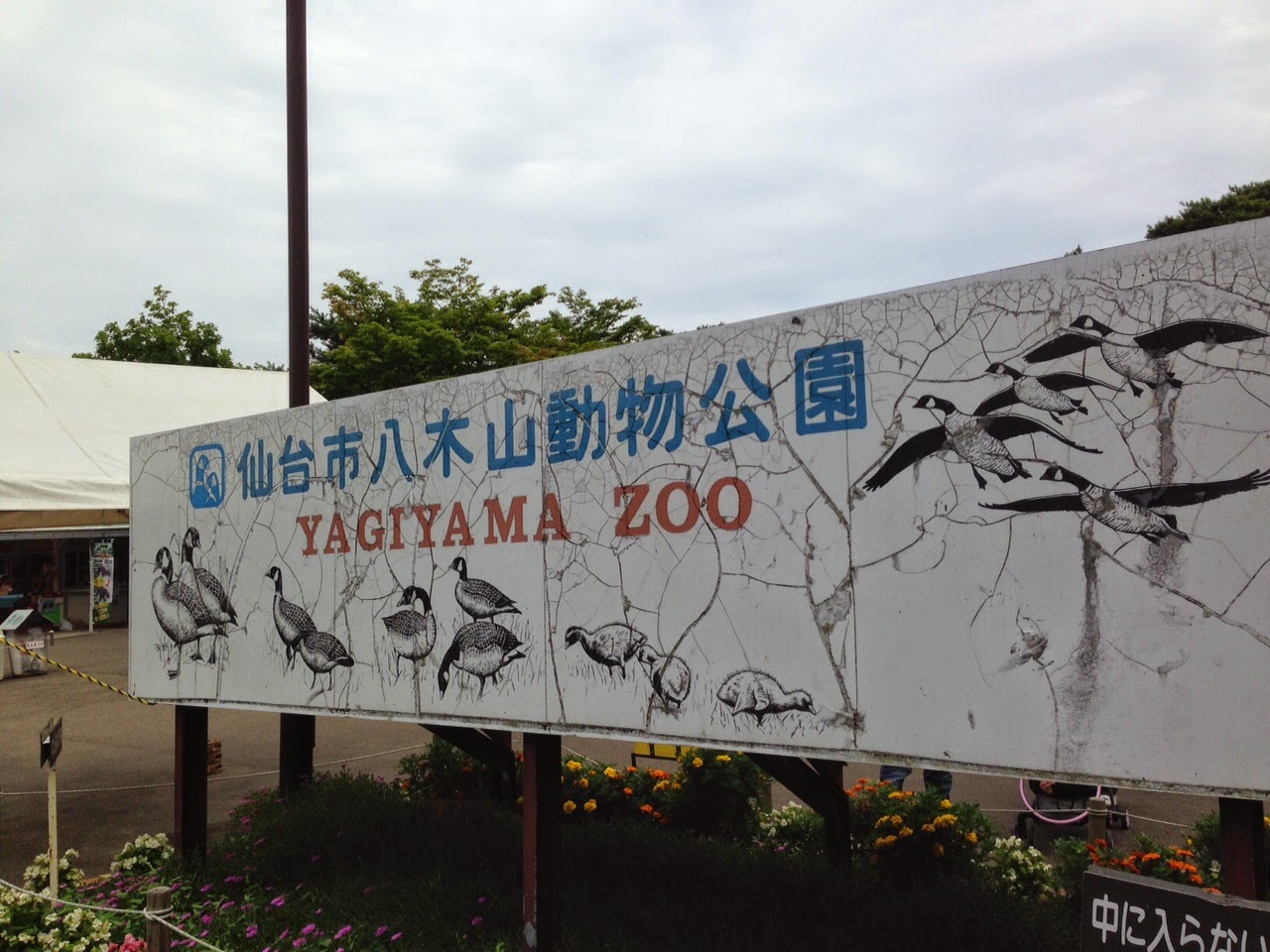 オンナコドモの鉄道旅 小学校の遠足以来 娘と一緒に八木山動物園