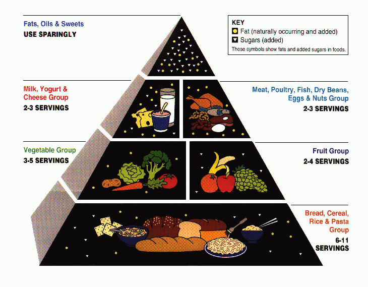 USDA Food Pyramid, Public Domain Image USDA Food Pyramid, Public Domain Image