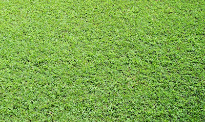 Cesped Artificial - Articulos interesantes sobre césped artificial y