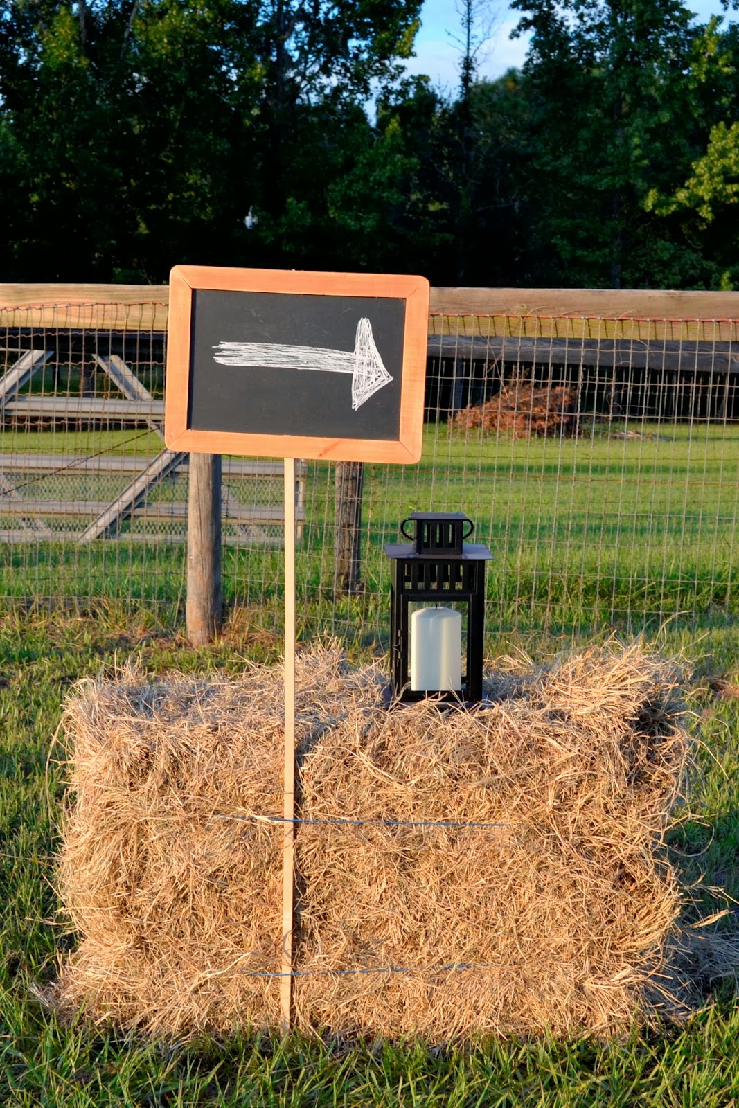 MG Events "You'll be my glass of wine... I'll be your shot of whiskey