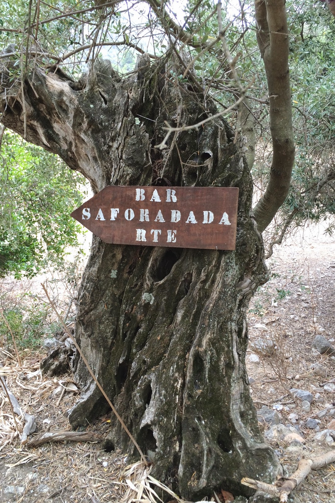 Palma De Mallorca Von Der Historischen Altstadt Bis Zum Ballermann