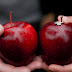 Fall = Apples + Love