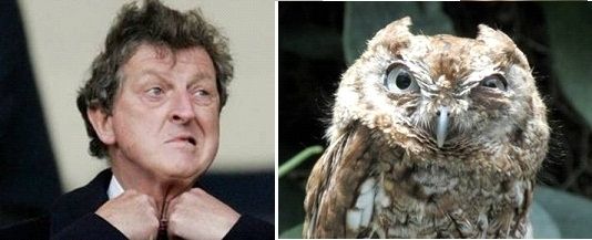 8 Gaya Pelatih Inggris Yang Mirip Burung Hantu... [ www.BlogApaAja.com ]