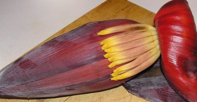 Bildergebnis für வாழைப்பூ