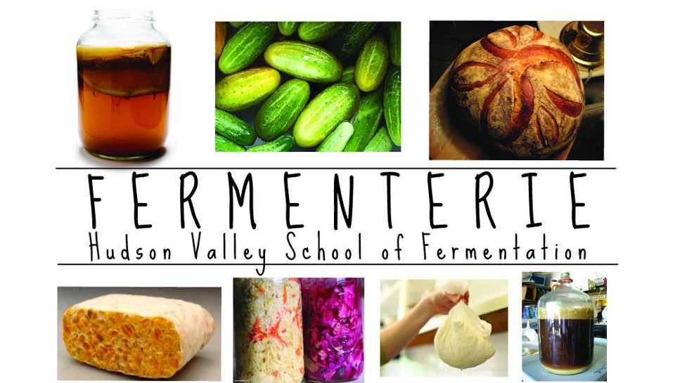 Fermenterie